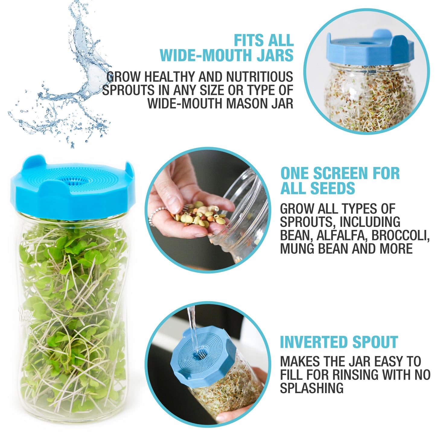 BEAN SCREENS<BR> Sprouting Lids <BR>(2-Pack)