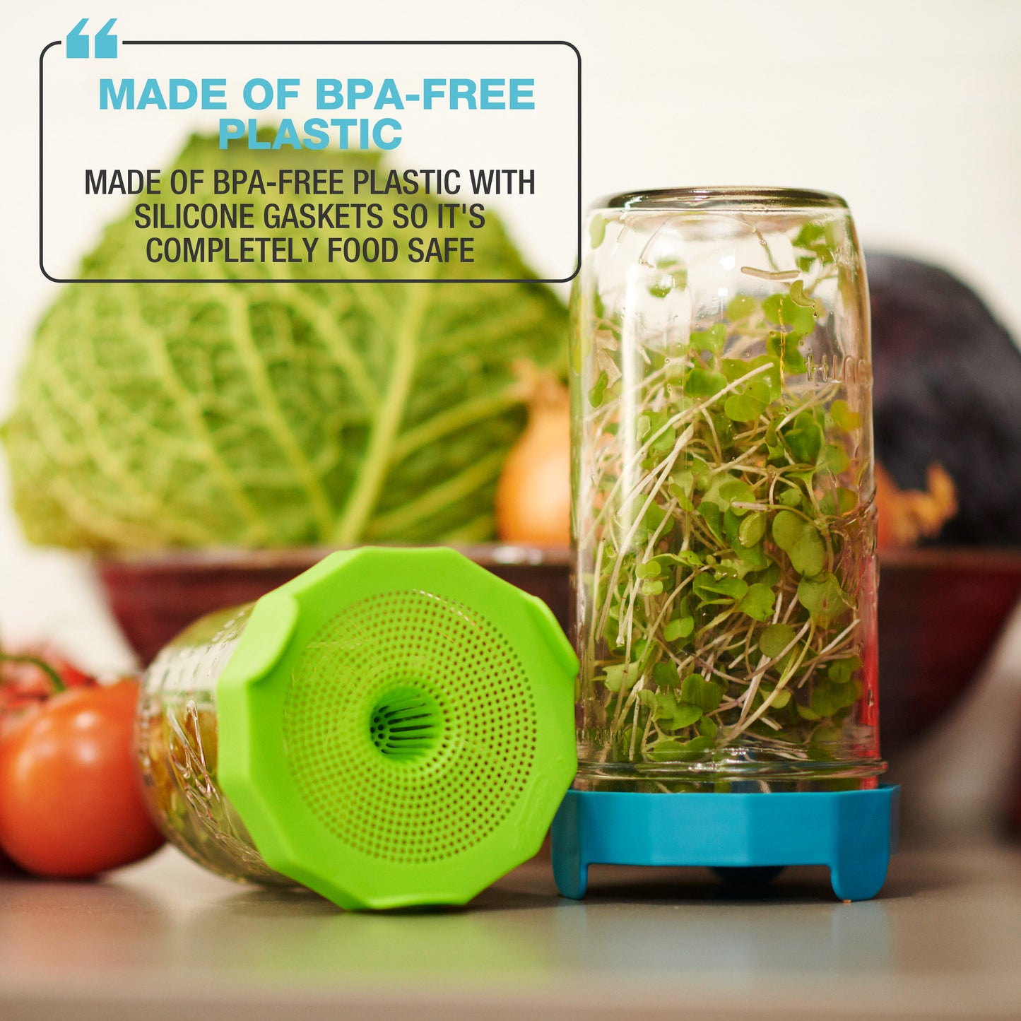 BEAN SCREENS<BR> Sprouting Lids <BR>(2-Pack)