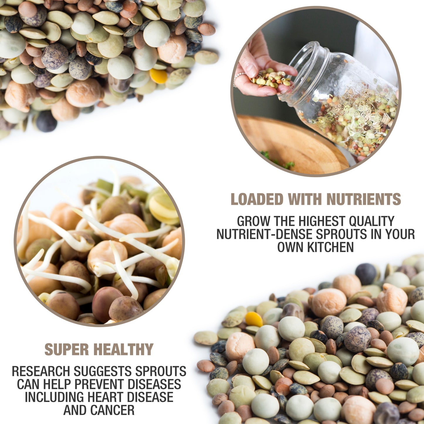 MUMM'S ORGANIC SPROUTING SEEDS <br> Non-GMO, 125g<br>