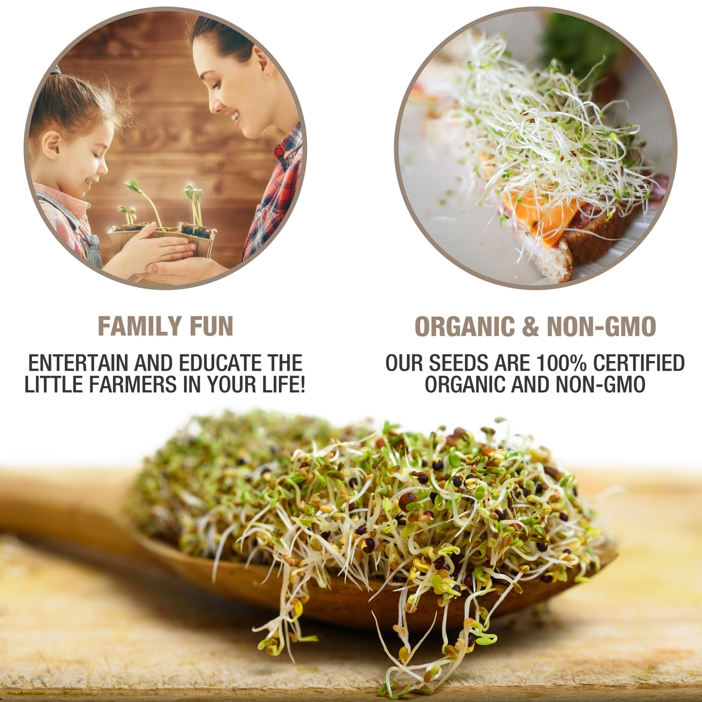 MUMM'S ORGANIC SPROUTING SEEDS <br> Non-GMO, 125g<br>
