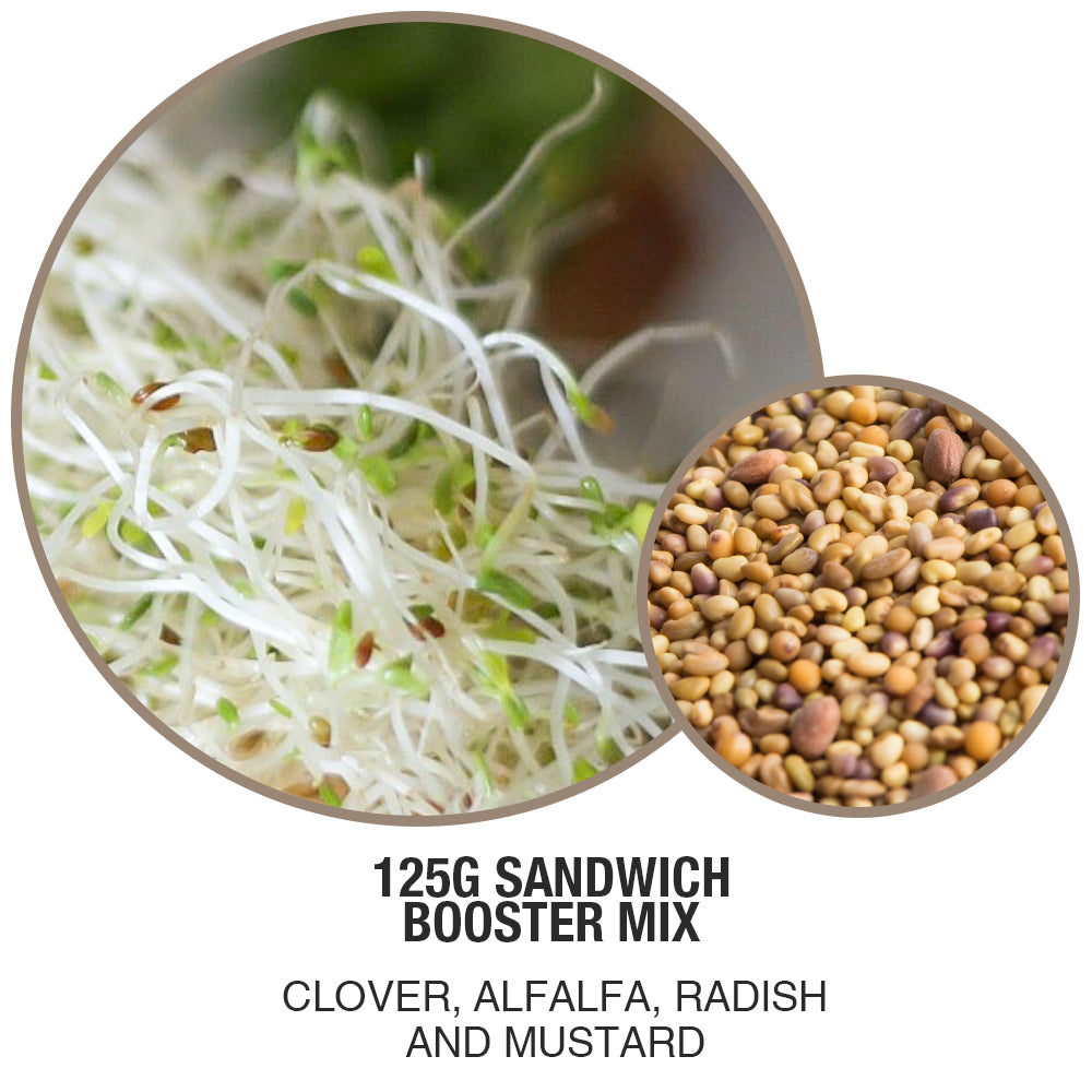 MUMM'S ORGANIC SPROUTING SEEDS <br> Non-GMO, 125g<br>