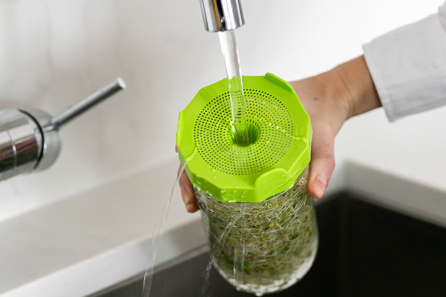 MASON JAR SPROUTING KIT <BR>Jar, Bean Screen & Sprouting Seeds<BR>(3-Piece Kit)