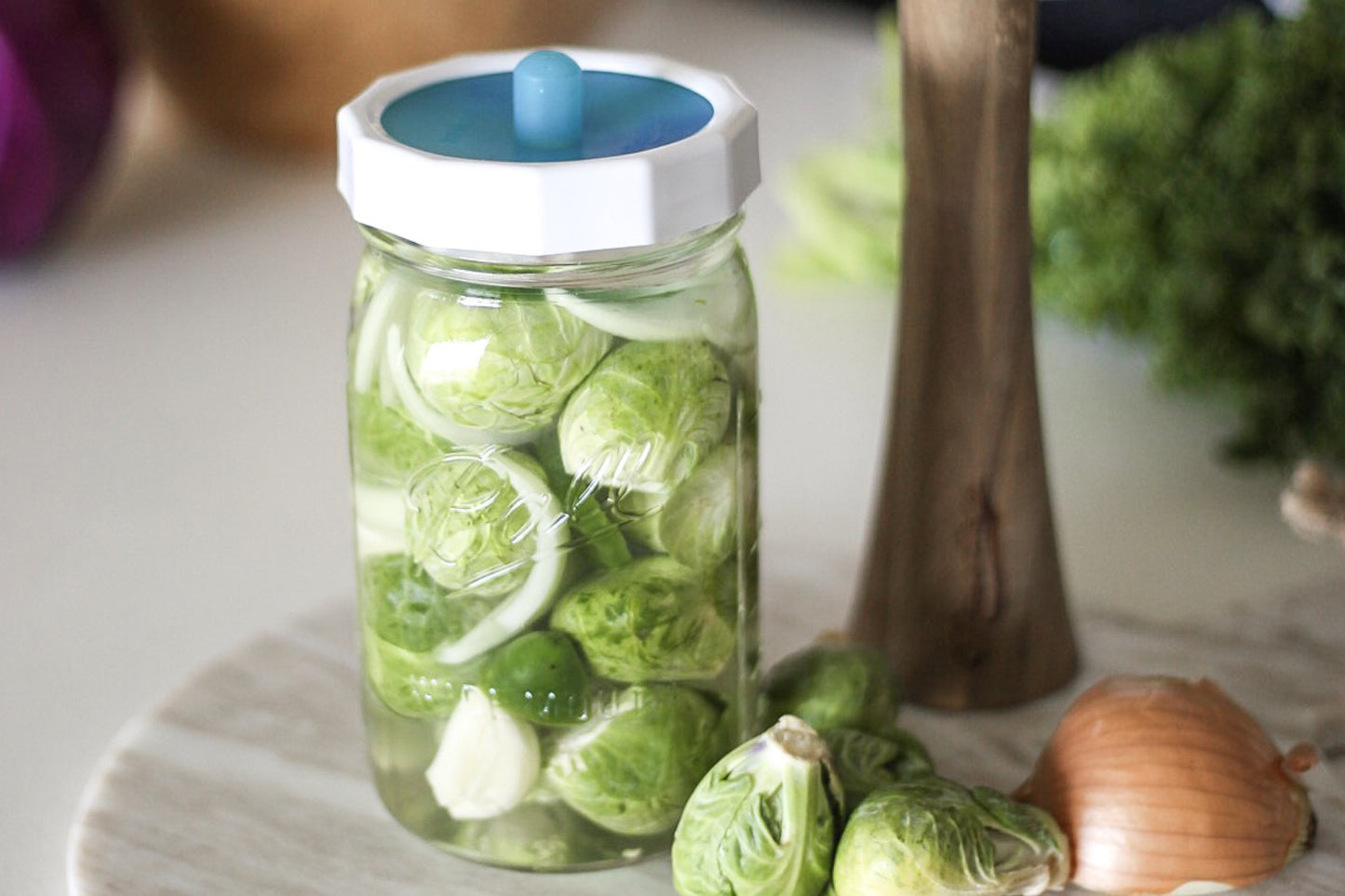 TOUGH BANDS <BR>Plastic Mason Jar Screw Bands <BR>(4-Pack)